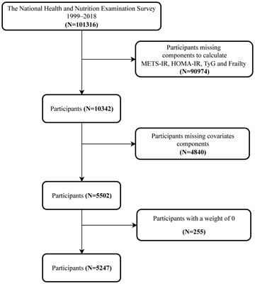 Cross-sectional comparison of the association between three different insulin resistance surrogates and frailty: NHANES 1999-2018